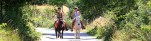 Balade à poney en camping au camping de Naussac en Lozère