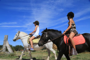 Sports équestre-équitation, location d’ânes