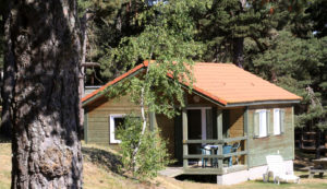 Chalet en bois pour 5 à 6 personnes en Lozère