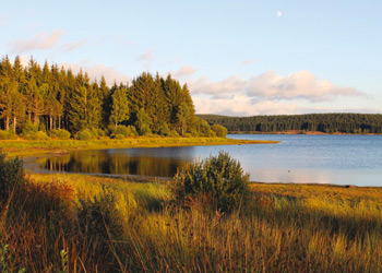 Lac Charpal en Lozère en Margeride