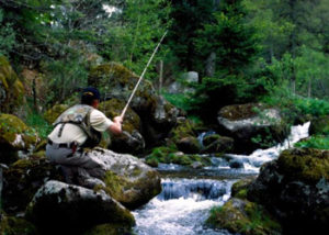 La pêche en rivière en Lozère