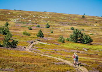 Randonnée au Mont Lozère